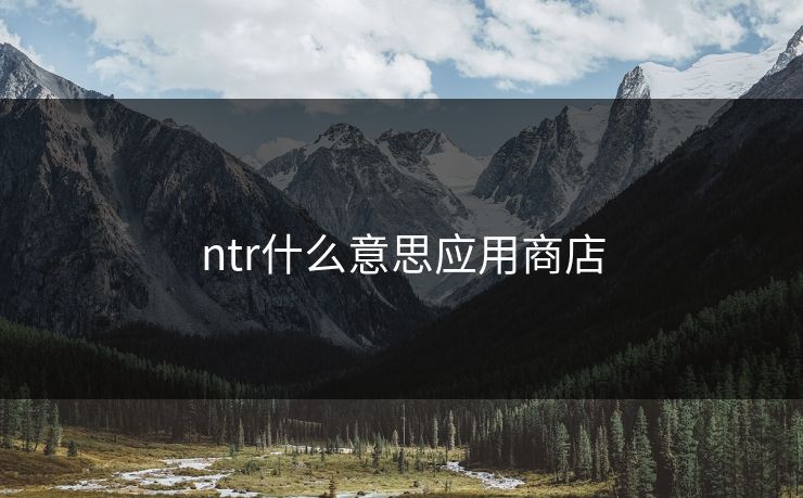 ntr什么意思应用商店