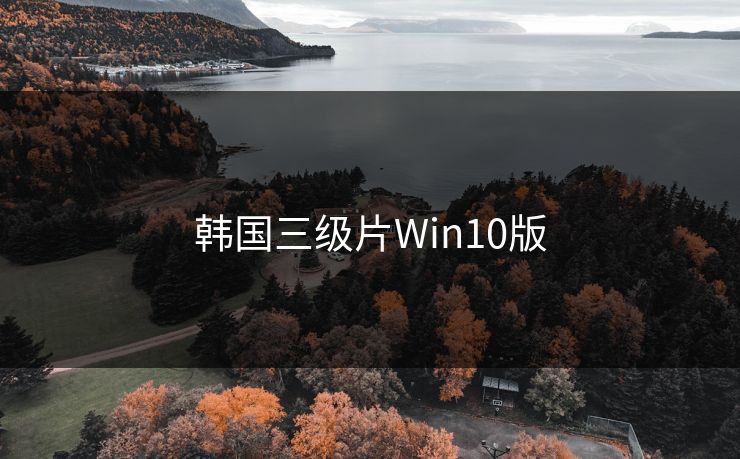 韩国三级片Win10版